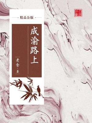 成渝线路图