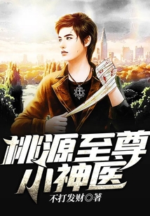 桃源小神医免费阅读