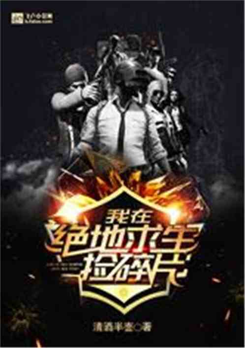 我在绝地求生捡碎片TXT下载