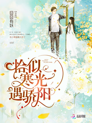 恰似寒光遇骄阳免费