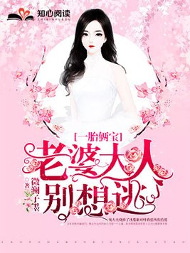 一胎俩宝,老婆大人别想逃全文免费阅读