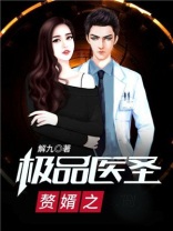 赘婿之极品医圣 解九