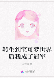 转生到宝可梦世界后我成了冠军小说
