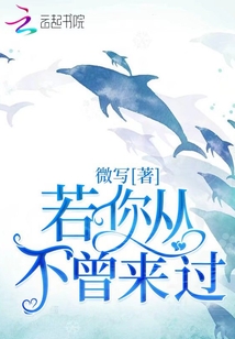 若你不曾来过小说