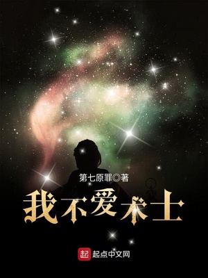 我不爱术士 小说