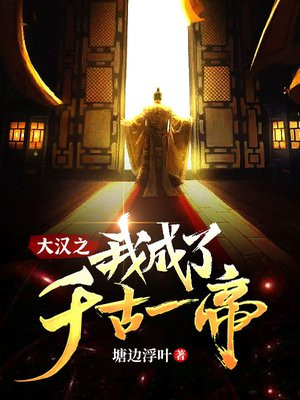 大汉之我成了千古一帝 小说