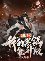 进化我的黑锅能升级