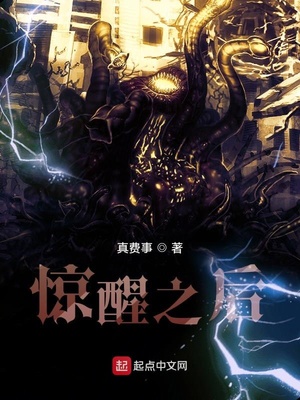 惊醒之后小说