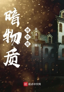 暗物质博物馆 小说