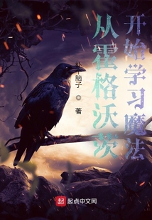 从霍格沃茨到魔法部长起点