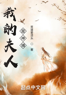 我的夫人是神捕TXT下载
