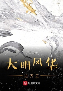 大明风华之齐王 小说