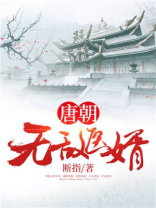 大唐无敌婿
