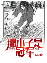 那小子是冠军小说作品大全