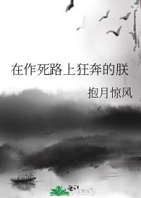 在作死路上狂奔的朕百度云资源