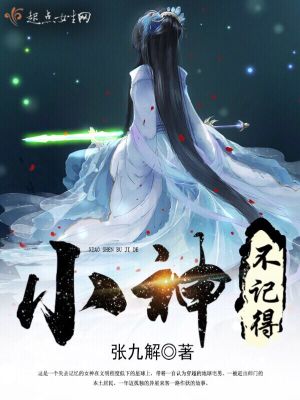 小神不记得txt