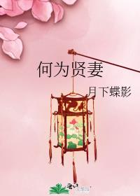 何为贤妻晋江