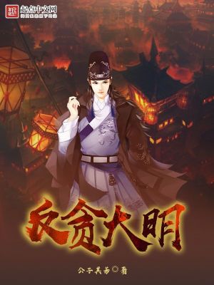 反贪小说大雪无痕免费阅读
