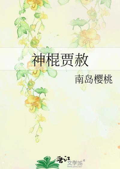 神棍贾赦 微盘