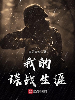 我的谍战生涯全文阅读