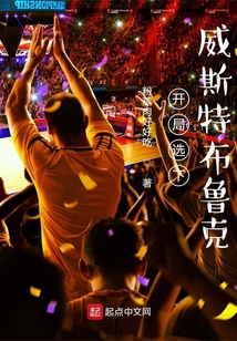威斯布鲁克小说