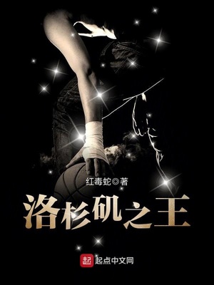 洛杉矶之王科比