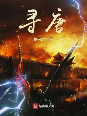 寻唐TXT下载