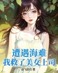 遭遇海难,我救了美女上司