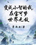 变成小智的我,在宝可梦世界无敌