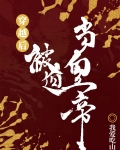 穿越后被迫登基