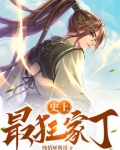 史上最狂家丁