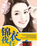 锦衣夜行