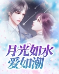 月光如水爱如潮