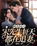 病态侵占:宋先生每天都在追妻
