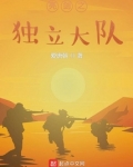 亮剑之独立大队