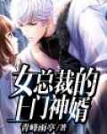 女总裁的上门神婿