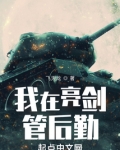 我在亮剑管后勤