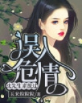 误入危情:沈先生求放过