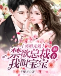 离婚无效,禁欲总裁黏着我叫宝宝