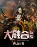 大融合系统