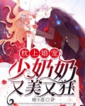 枕上婚宠：少奶奶又美又狂