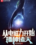 从电磁力开始播种诸天