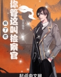 疯了吧,你管这叫检察官