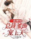 一夜缠情：总裁爹地宠上天