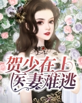 贺少在上，医妻难逃