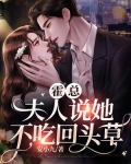 霍总,夫人说她不吃回头草