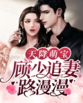 天降萌宝，顾少追妻路漫漫