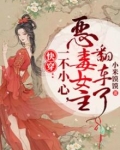 快穿：不一小心，恶毒女主翻车了