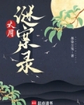 大周谜案录