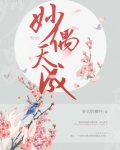 妙偶天成